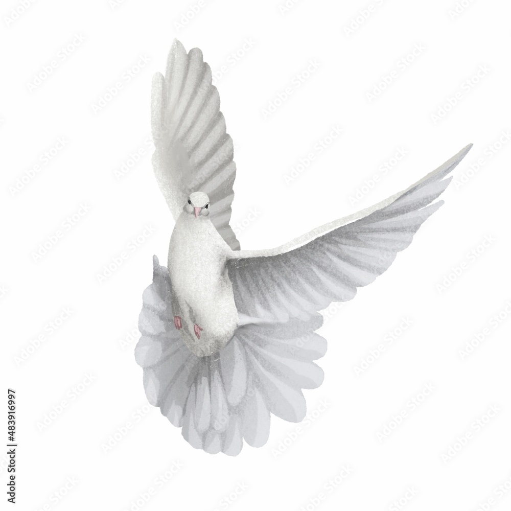 Obraz premium Illustration of a white pigeon in digital style