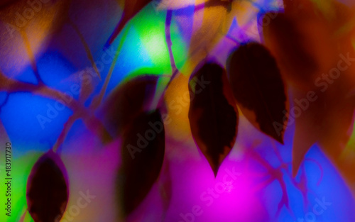 Leaves on a blurred background of colored lanterns. Background abstract pattern.