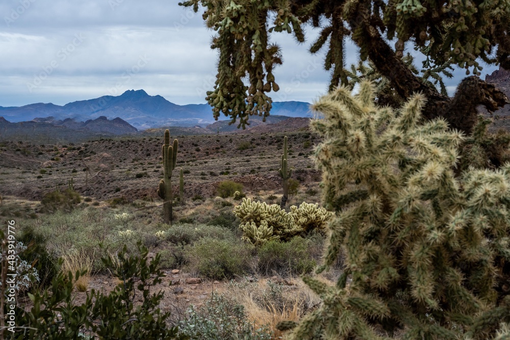 An overlooking view of Lost Dutchman SP, Arizona