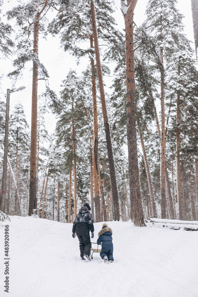 Rear view of two boys sledding and having fun together. Happy children playing in snow in winter forest. Brothers spending time together