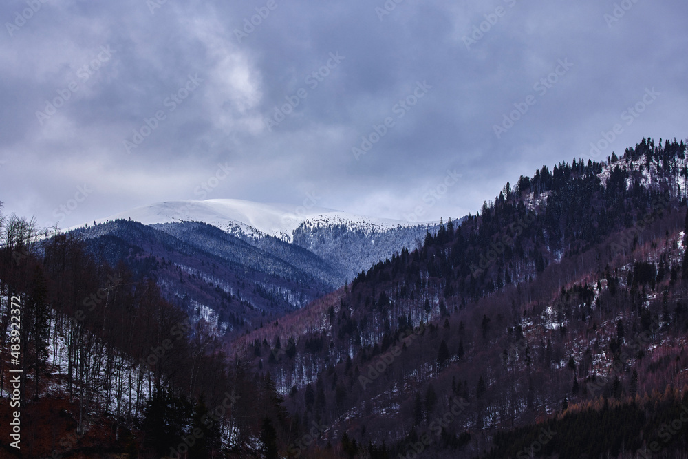 Fototapeta premium beautiful mountain landscape in winter in the Carpathian mountains Romania