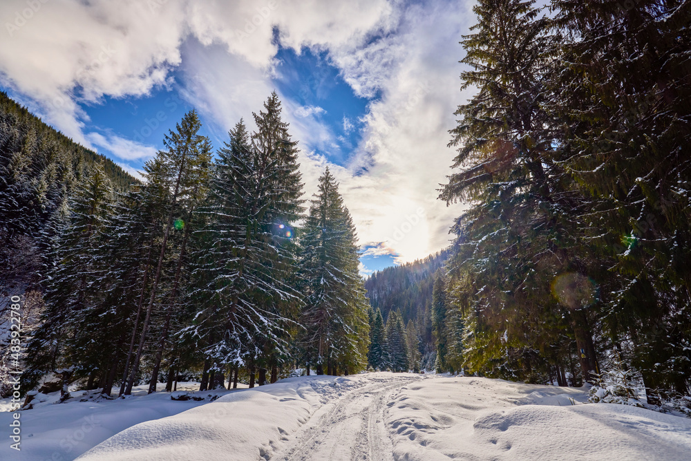 beautiful mountain landscape in winter in the Carpathian mountains Romania