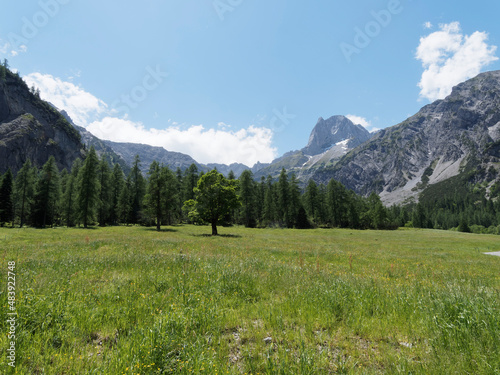 Österreichischen Alpen. Panoramablick zur Gramaialm-Hochleger , Lamsenspitze, Gamsjoch und einem Gratausläufer des Sonnjochs von der Gramaialm im Falzthruntal  photo