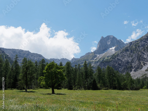 sterreichischen Alpen. Karwendelgebirge. Sonnjoch Gipfel und Gramaialm-Hochleger von der Gramaialm im Falzthruntal 