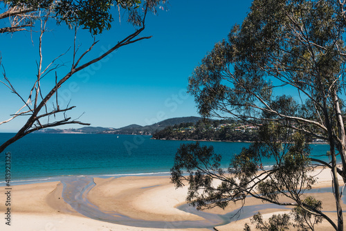 beautiful scenary of the Pacific Ocean and thick native vegetation shot from a vantage point during a hike in Southern Tasmania