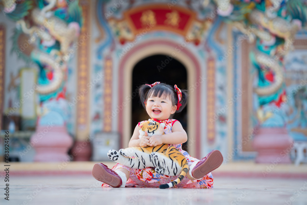 Asia Chinese baby girl in chinese tradition cloth carry tiger doll, sit