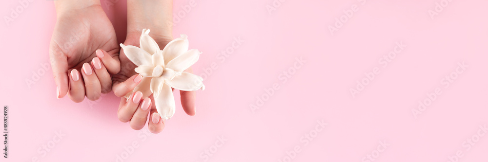Female hands with beautiful natural manicure - pink nude nails with white dried flower on pink background. Nail care header. Wide screen, panoramic web banner with copy space for design