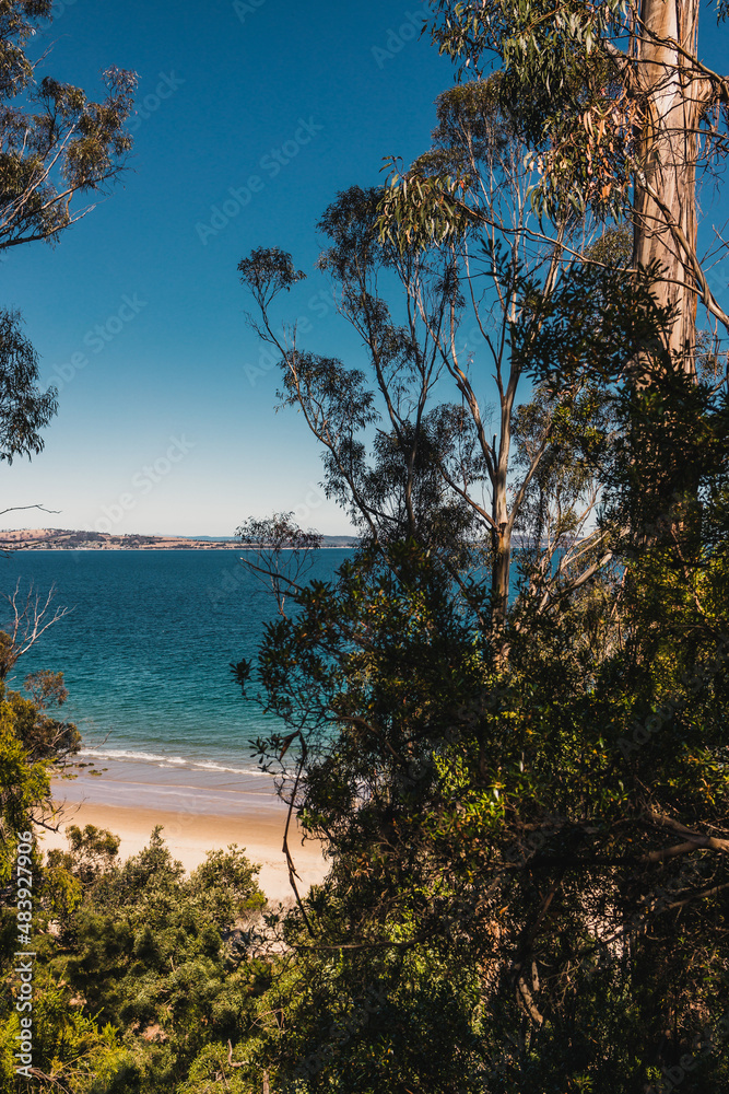 beautiful scenary of the Pacific Ocean and thick native vegetation shot from a vantage point during a hike in Southern Tasmania