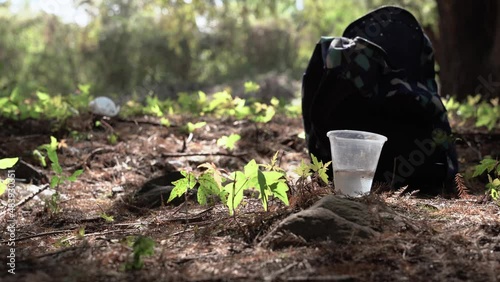 Wallpaper Mural Trashing the forest with a plastic cup on the dirt  Torontodigital.ca