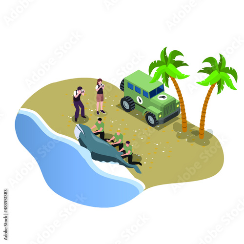 Volunteers taking seal back to the nature after rehab isometric 3d vector concept for banner, website, illustration, landing page, flyer, etc.