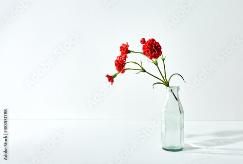 Red carnation bouquet in glass vase on white color background. Copy space. Flower design. Empty text place. Business card. Memorial day. Minimalism. Happy celebration. Holiday decoration. Conceptual.