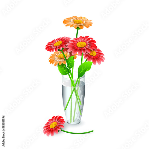 Red and orange gerbera flowers in a clear glass vase for project of room decor, isolated on white background. Vector illustration for interior design, flower shop advertising, other. 