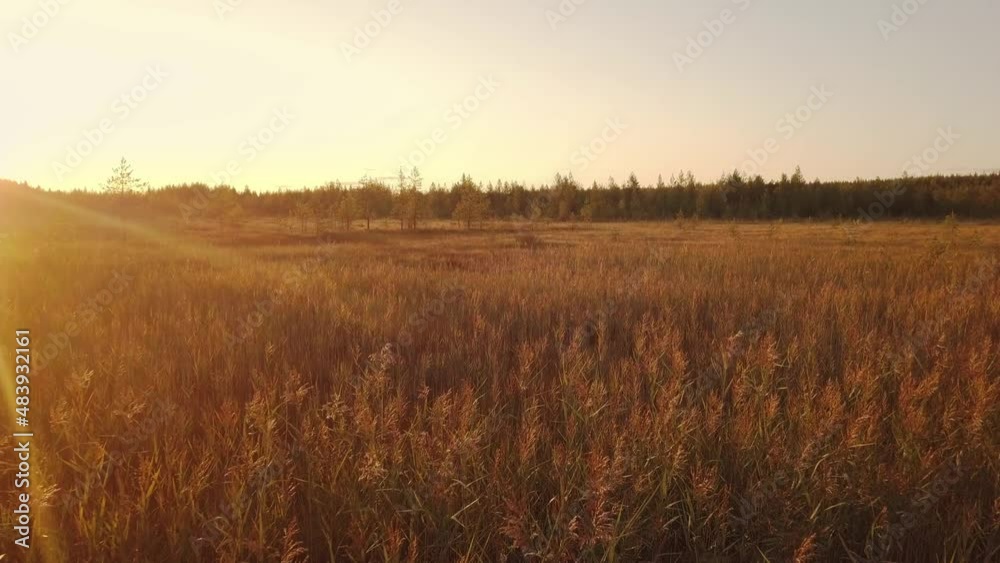 flying over a field, forest and stream at sunset flying over a field, forest and stream at sunset