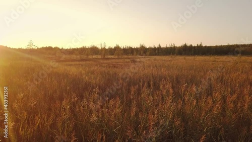 flying over a field, forest and stream at sunset