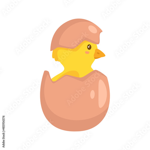 yellow chick breaks free of the shell