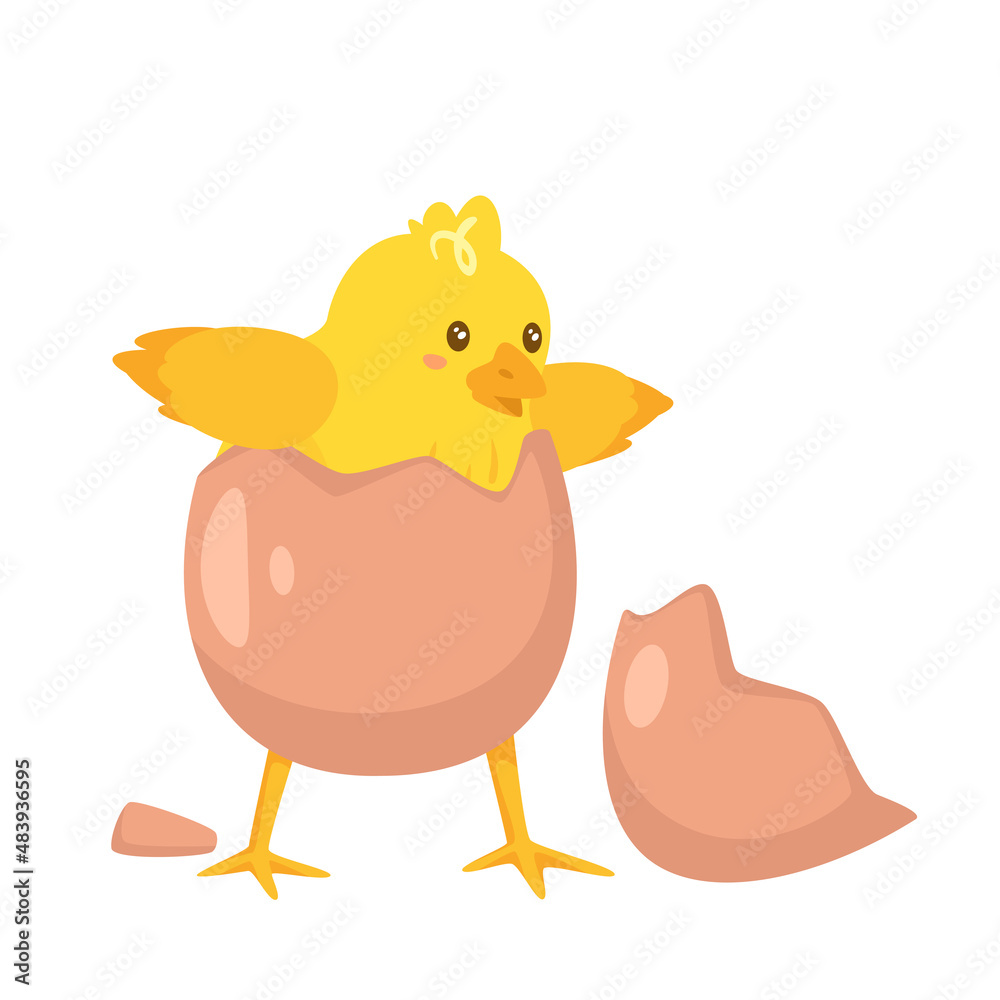 yellow chick breaks free of the shell