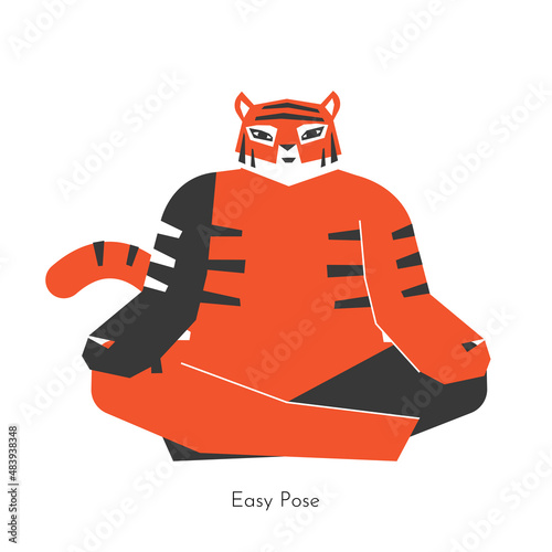Vector isolated illustration with cartoon animal doing seated yoga practice for meditation - Sukhasana. Chinese tiger learns Easy Pose. Simplified concept with sport hip-opening exercise to be healthy