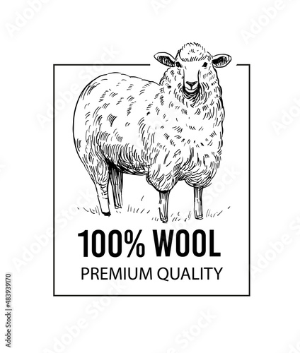 Sheep. Vector illustration. Black outline on a transparent background