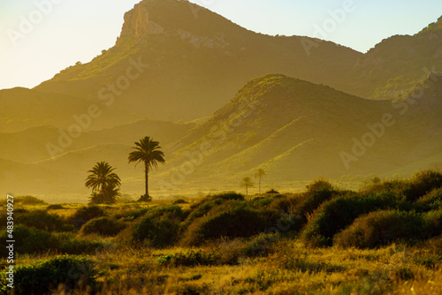 Coast landscape in Murcia Spain