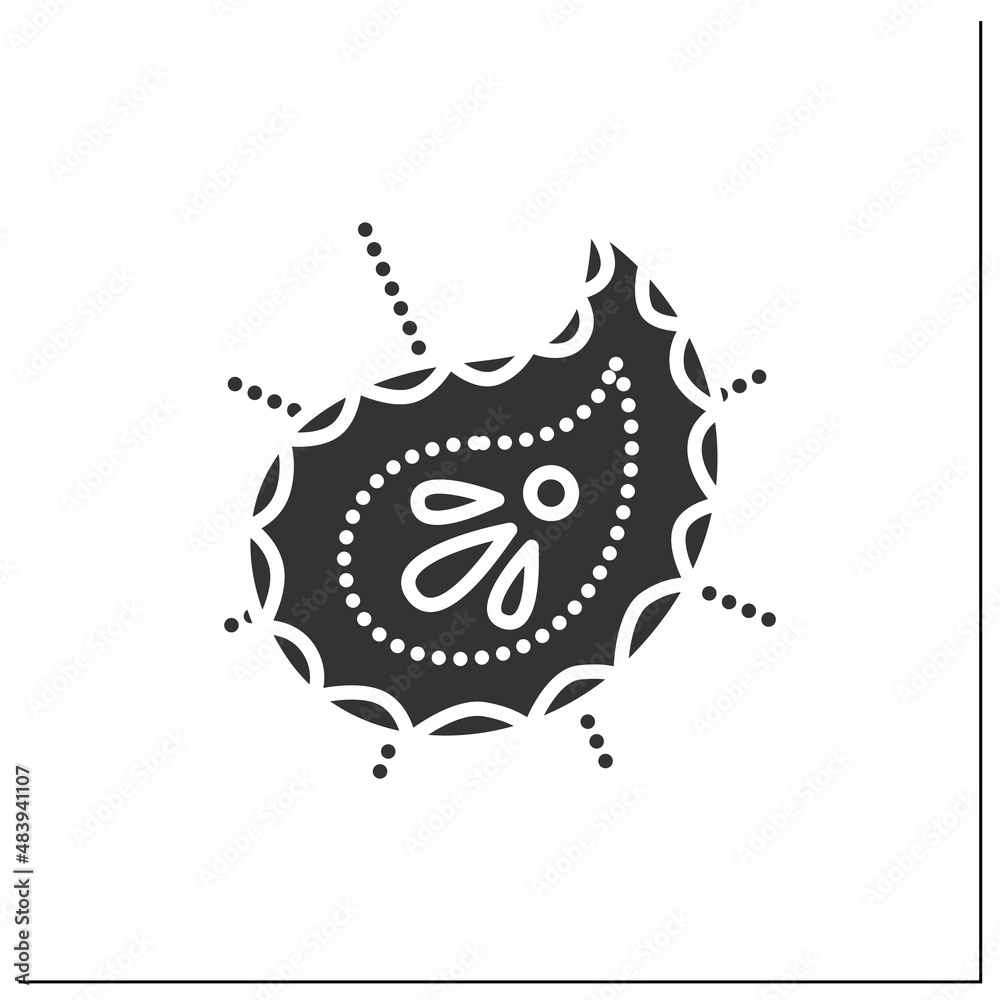 Fototapeta premium Paisley pattern glyph icon. Ethnic oriental boho ornament. Pine cone shape. Symbol of life. Indian culture, esthetics, traditions and customs.Filled flat sign. Isolated silhouette vector illustration