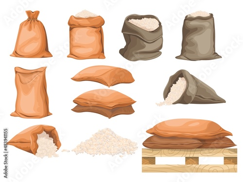 Fotografie, Obraz Cartoon rice bags