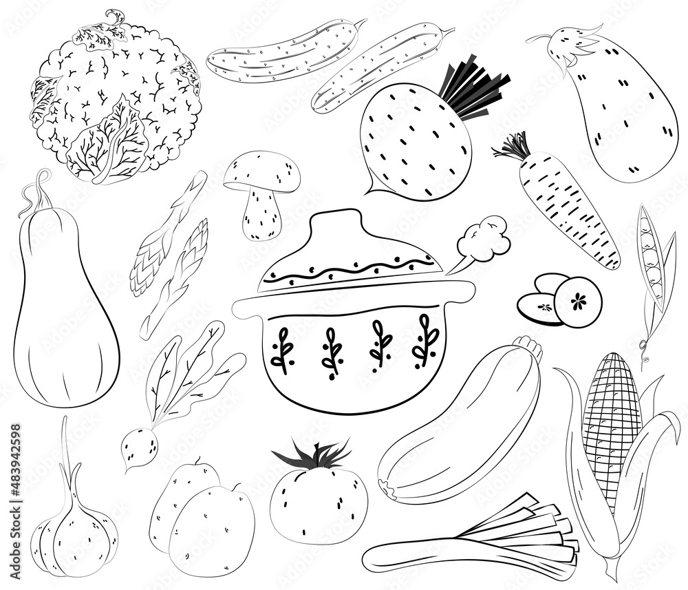 Fototapeta premium Hand drawn vegetable on white background. Traditional Doodle food sketch. Vector sketch illustration. Line art.
