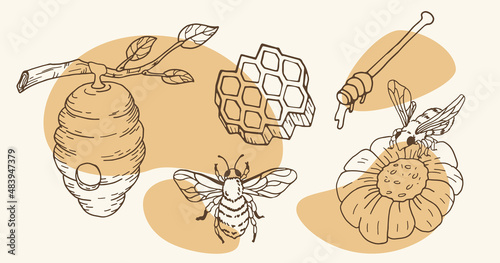 Honey set in doodle style with bees, beehive, honeycomb and flower. Isolated hand drawn illustration.