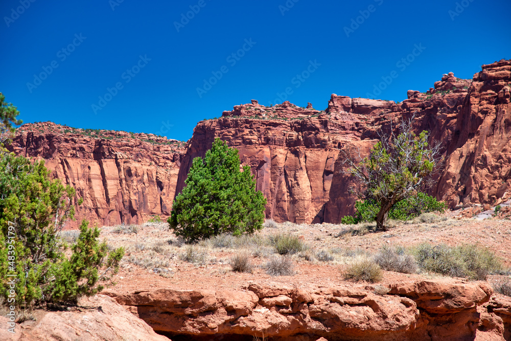 Capitol Reef National Park, Utah. Red rocks under a blue summer sky. Capitol Reef National Park, Utah. Red rocks under a blue summer sky.