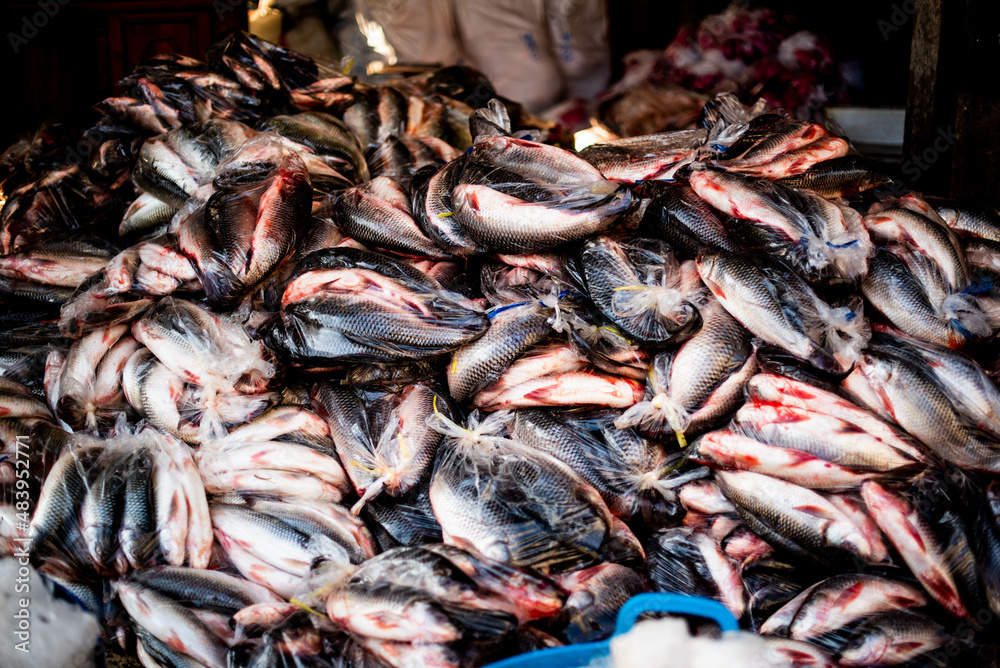 Freshwater fish from the Sarawin River Available for sale in the fresh market, Mae Sot District, Tak Province, Thailand