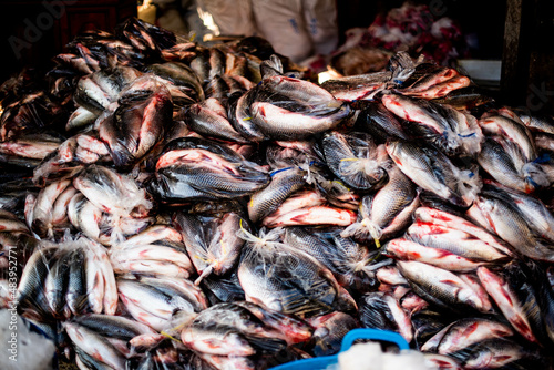 Freshwater fish from the Sarawin River Available for sale in the fresh market, Mae Sot District, Tak Province, Thailand