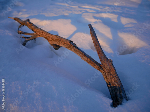Old Branch in Snow. Photograph taken in the Winter in Vantaa, Finland. 