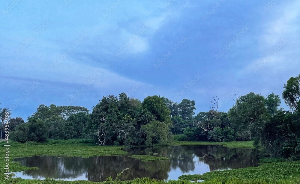 Fototapeta premium lake in the park