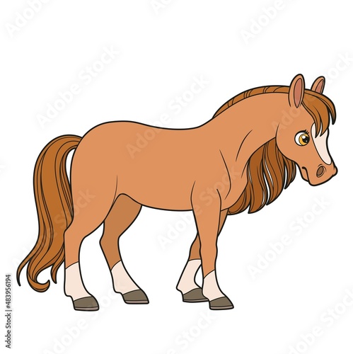 Cute cartoon horse color variation isolated on white background
