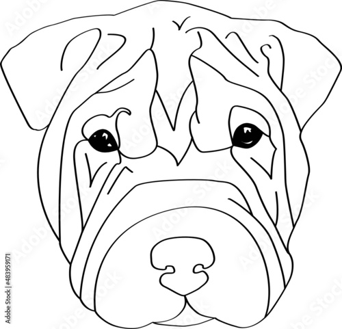 Dessin - illustration de Sharpei en noir sur fond transparent. Vecteurà personnaliser 