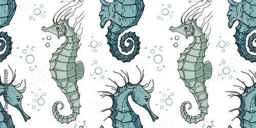 Seamless pattern with seahorse . Pattern with marine inhabitants for background and design. Set of colorful hand drawn clams for design. Set of isolated marine inhabitants on a white background.