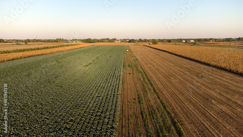 agricultural fields in autumn in Vojvodina, seen from above