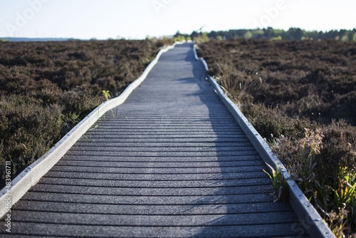 Footpath in  Langlands Moss Local Nature Reserve in Scotland
