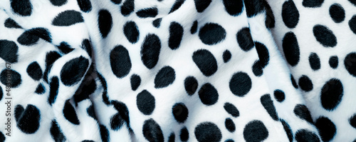 black and white animal print fabric