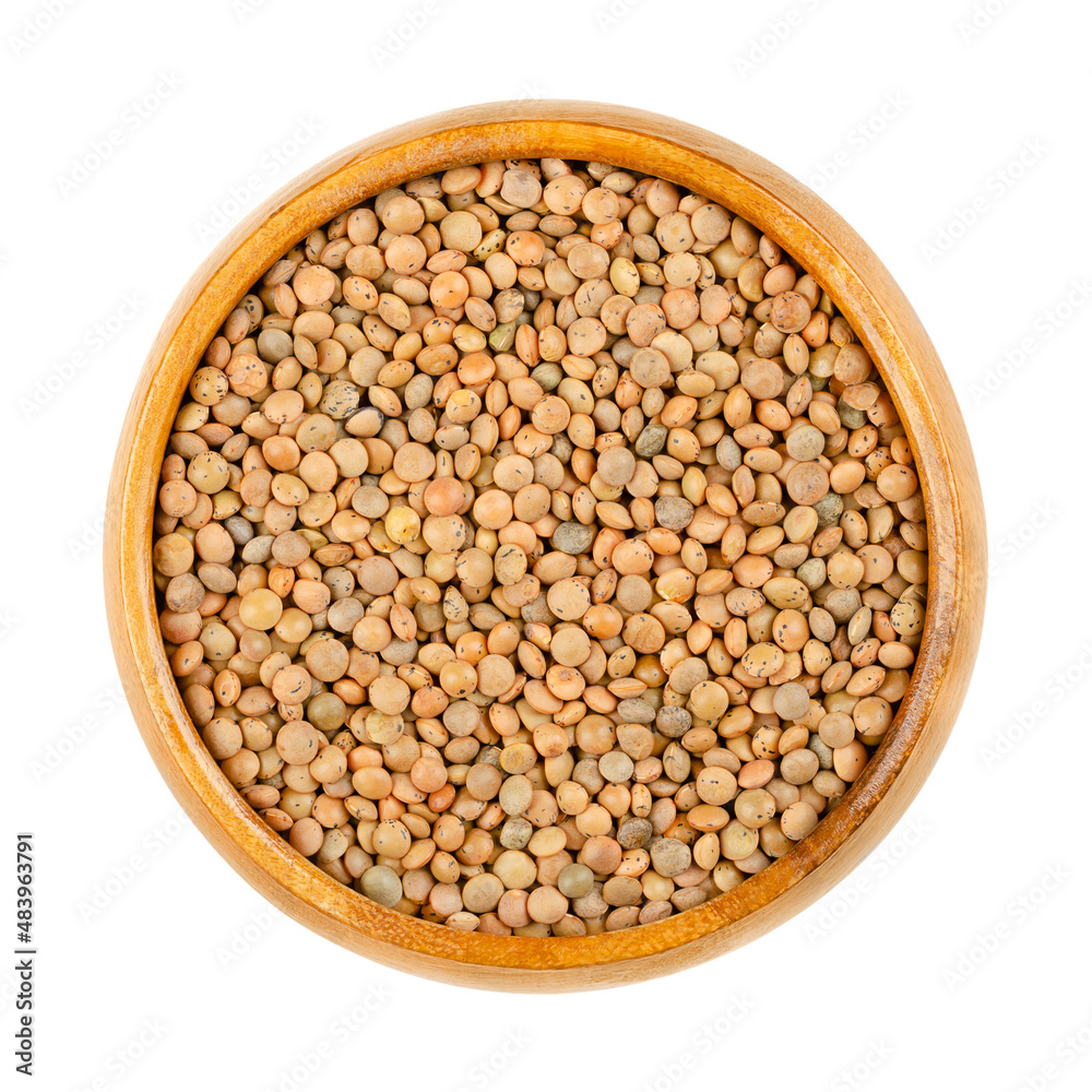 Brown lentils in a wooden bowl. Mountain lentils, Lens culinaris (Lens esculenta), small brown-red lentils with delicate speckles on a shiny surface, are relatively waxy, sweet and taste a bit spicy. Brown lentils in a wooden bowl. Mountain lentils, Lens culinaris (Lens esculenta), small brown-red lentils with delicate speckles on a shiny surface, are relatively waxy, sweet and taste a bit spicy.