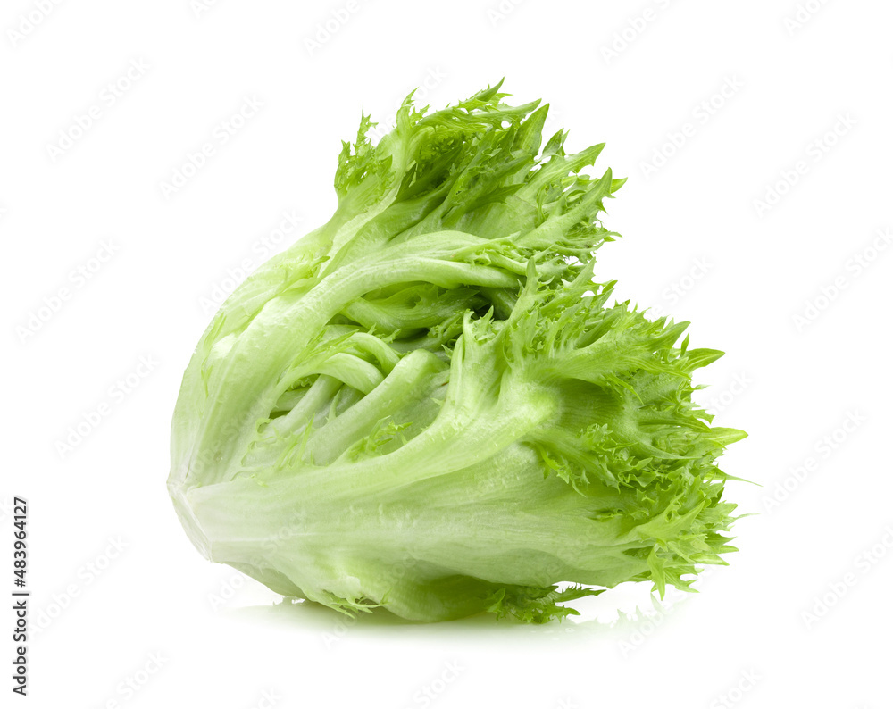 green frillies iceberg lettuce on white green frillies iceberg lettuce on white