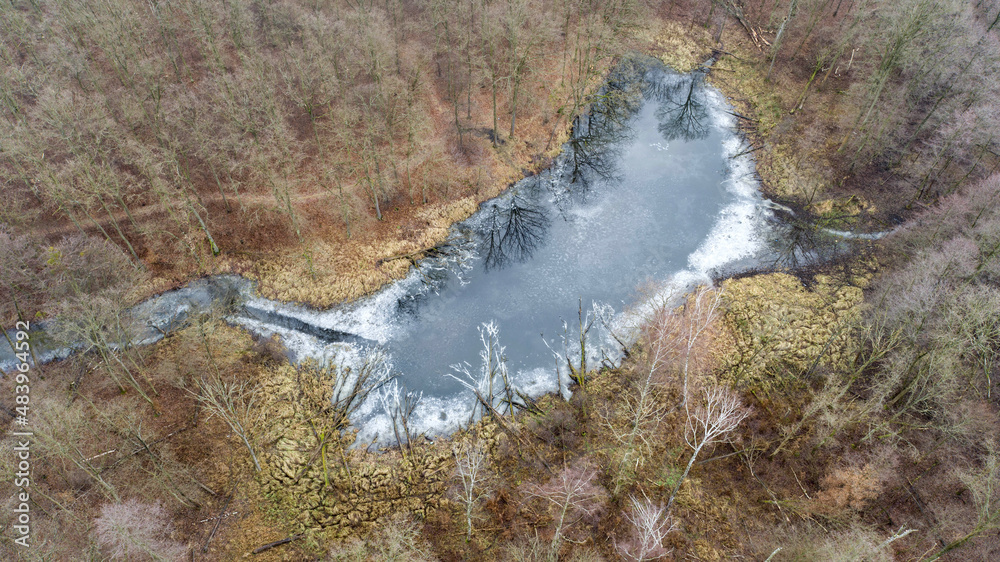 The oxbow lakes of the Odra River near the Vratislavia in Poland
