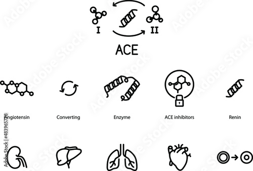 ACE, Angiotensin Converting Enzyme icons set, vector