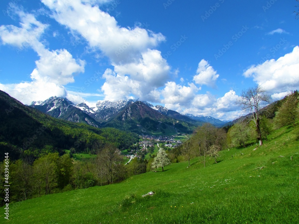 View of a small alpine town Kranjska Gora in Julian alps and Triglav national park, Gorenjska, Slovenia and snow covered mountain peak rising above and a meadow with a white flowering tree