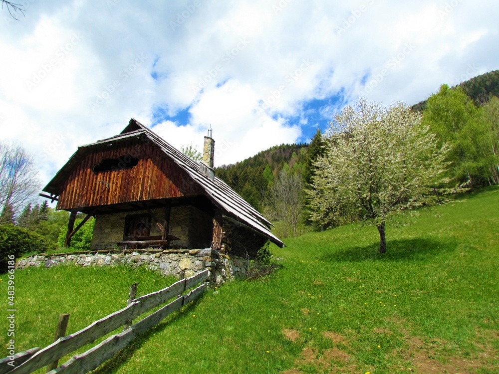 Wooden and stone build cottage on a spring meadow with a white blooming tree and forest covered hills behind