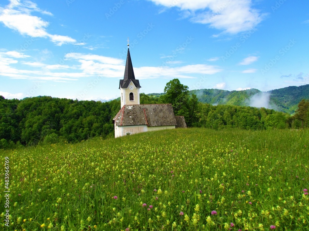 Meadow covered in yellow flowers and a church and forest covered hills behind in the hills of Polhov Gradec in Slovenia