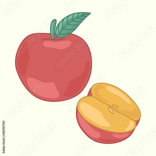 Vector red apple in cartoon style, on a light background. A whole apple. Half an apple. (ID: 483967130)