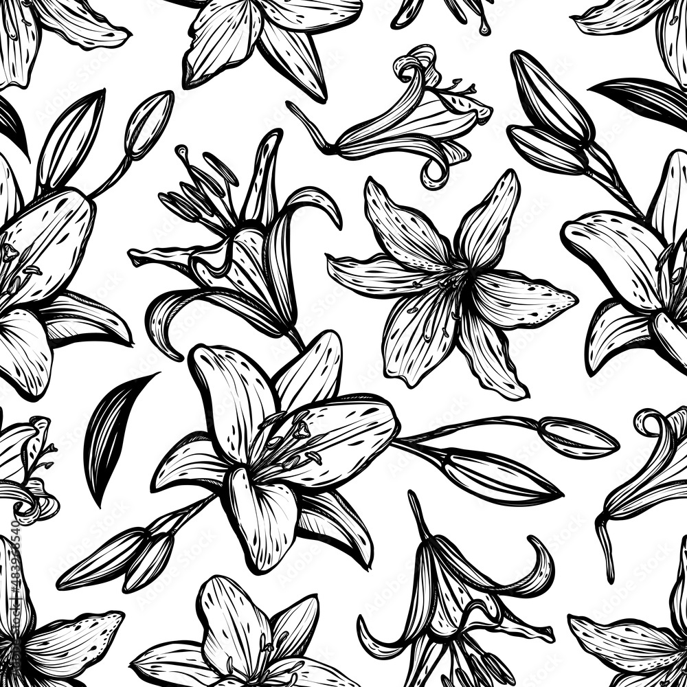 Botanical vector illustration, summer lilium flowers, bouquet of flowers, line art style, romantic decoration, Handmade, light background, seamless pattern Botanical vector illustration, summer lilium flowers, bouquet of flowers, line art style, romantic decoration, Handmade, light background, seamless pattern