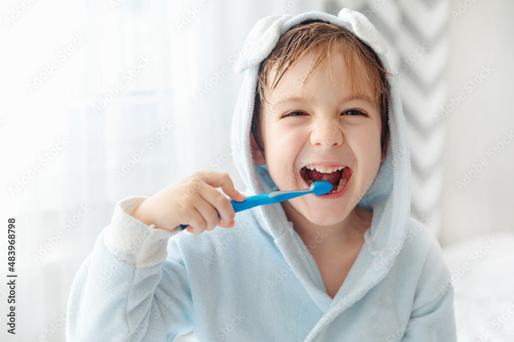 Morning routine, smiling happy child brushing teeth with toothbrush. Dental hygiene of little boy, medical care.