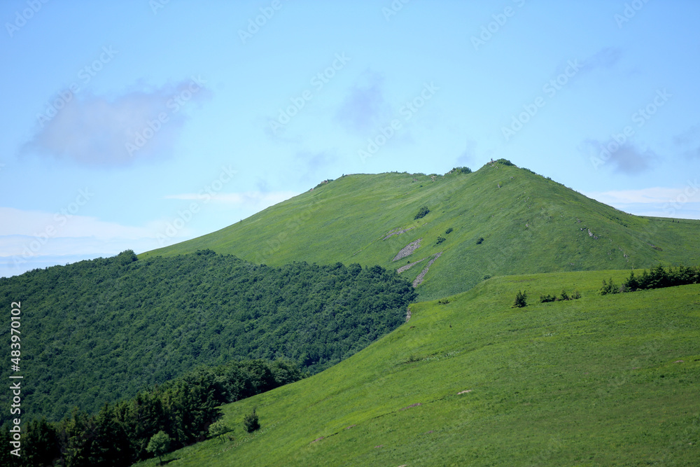 Polonyna Wetlinska in Bieszczadzki National Park (Poland).
