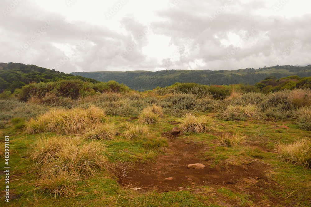 Scenic field against sky in the moorland ecological zone of Aberdare National Park, Kenya 